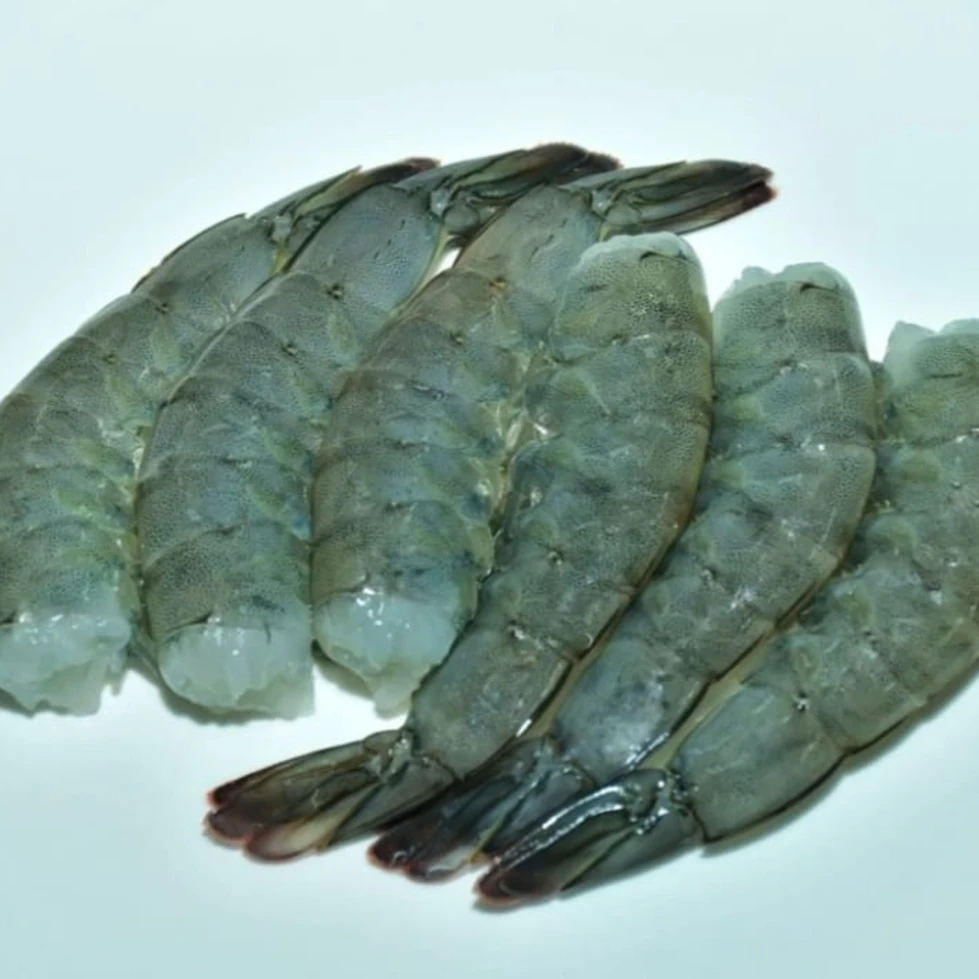 IQF Black Tiger Shrimp