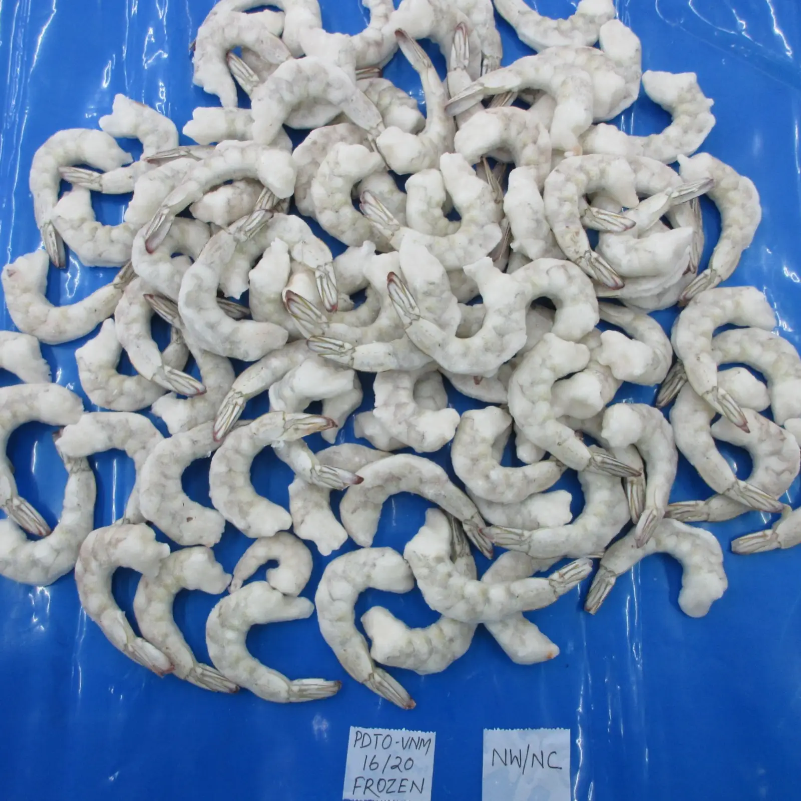 IQF Black Tiger Shrimp